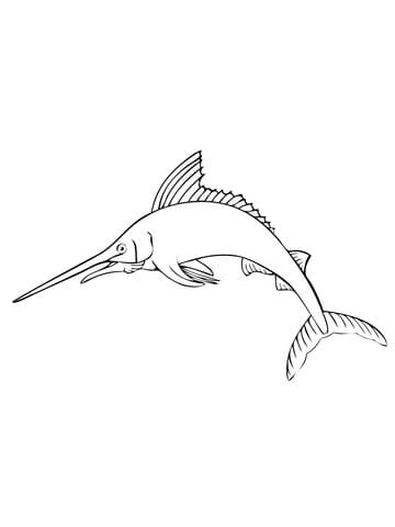 Atlantic Blue Marlin Coloring Page